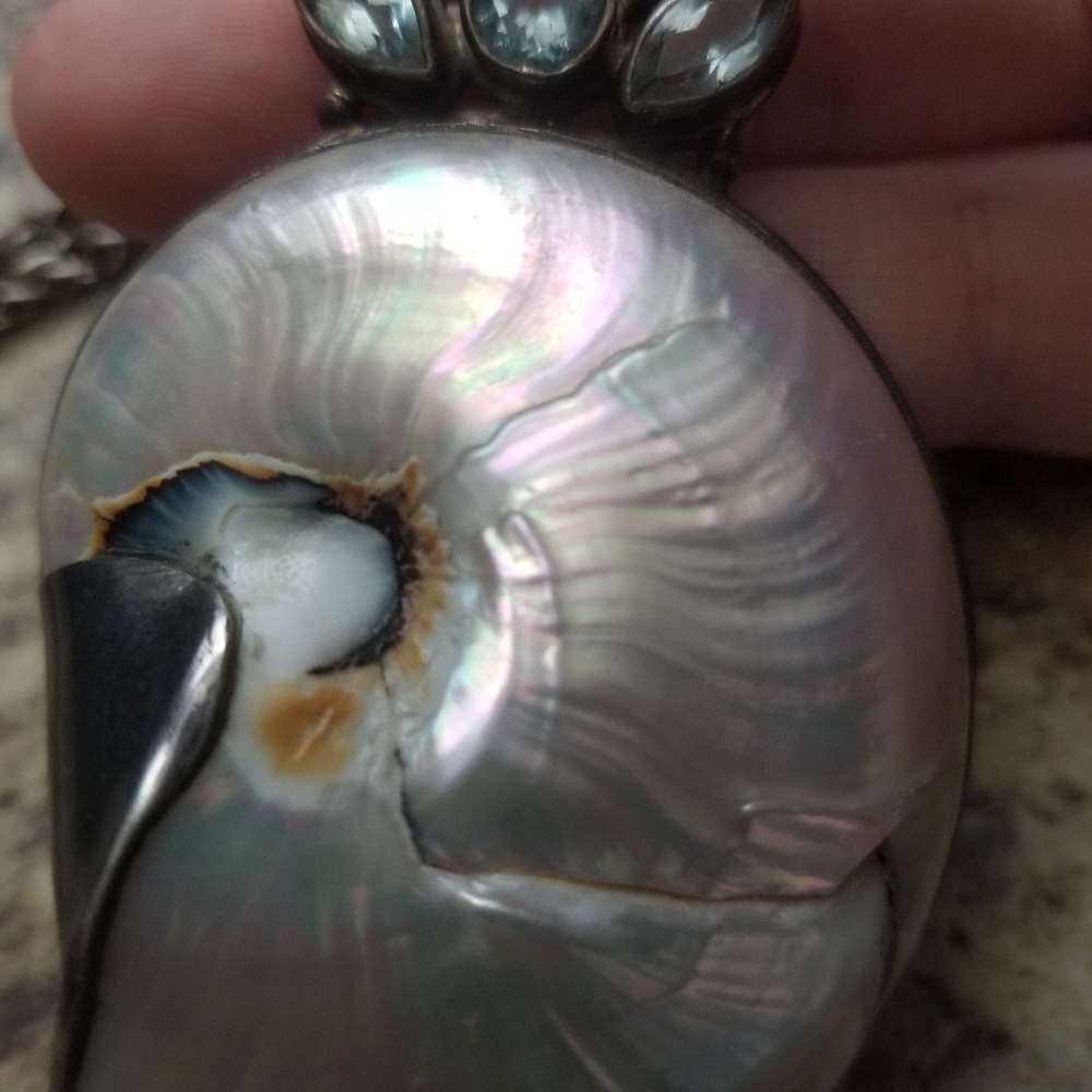Witch Shell Necklace - Picture 10 of 10